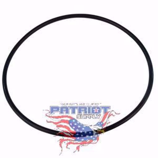 Picture of C7010002 Riello C7010002 O-Ring For 3007802 Oil Pump Cover